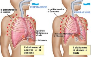 respirazione-diaframmatica